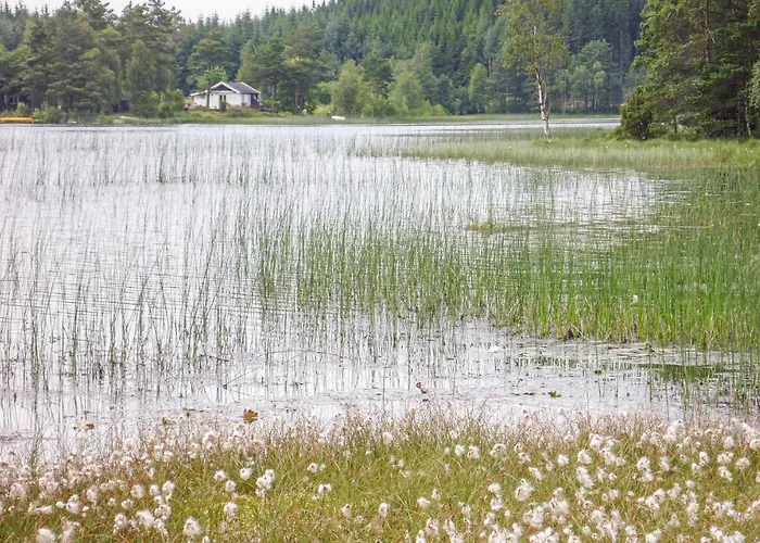 Lovely In Bjoa With Kitchen * Utbjoa